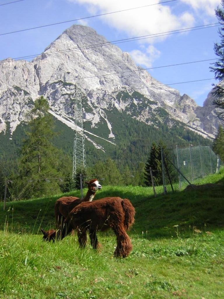 Gaestehaus Panorama Biberwier Bagian luar foto