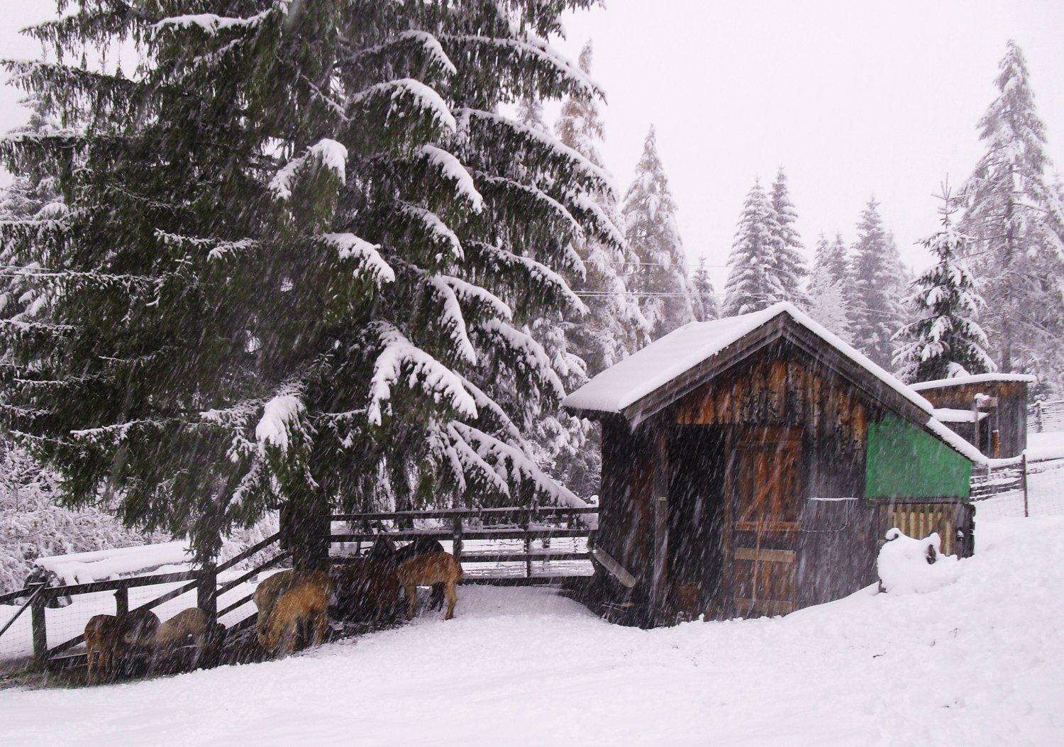 Gaestehaus Panorama Biberwier Bagian luar foto