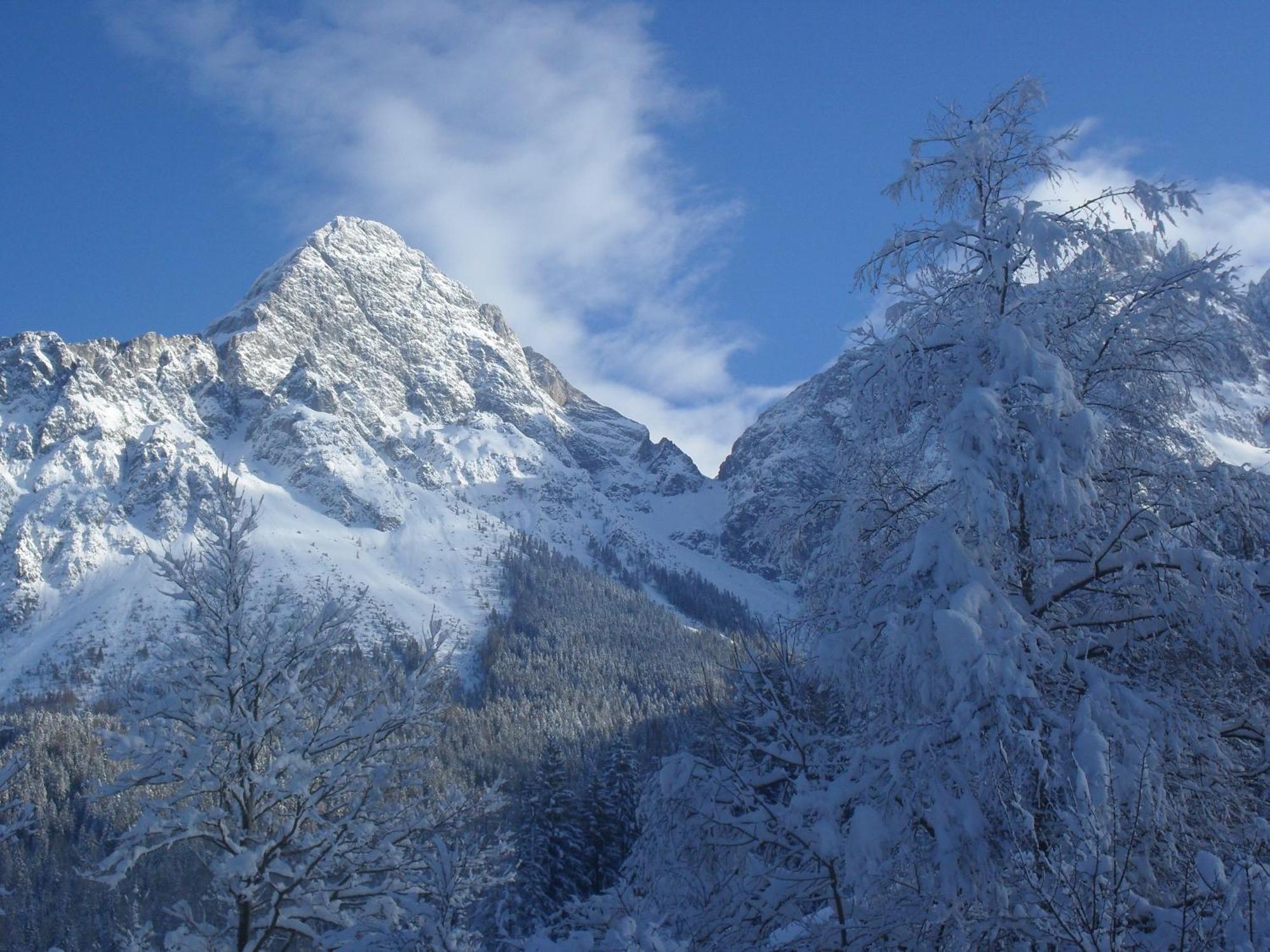 Gaestehaus Panorama Biberwier Bagian luar foto